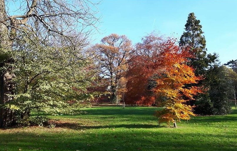 Friends of Headington Hill Park