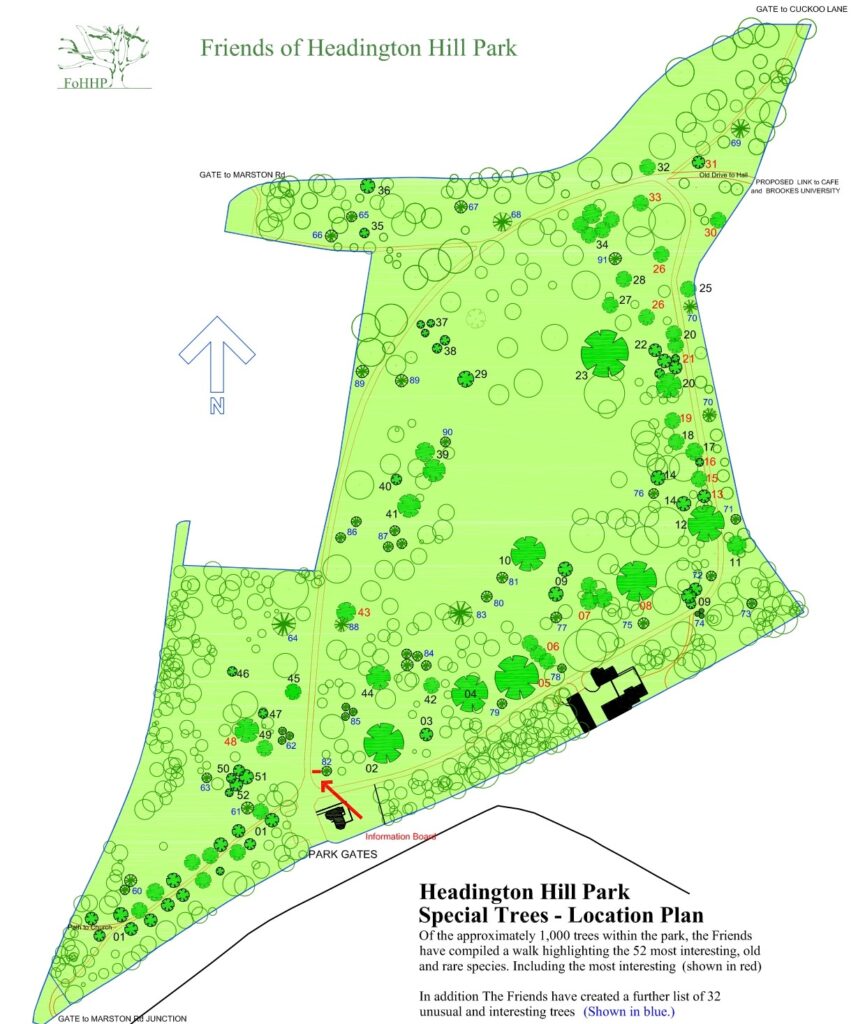 Tree Walk in Headington Hill Park